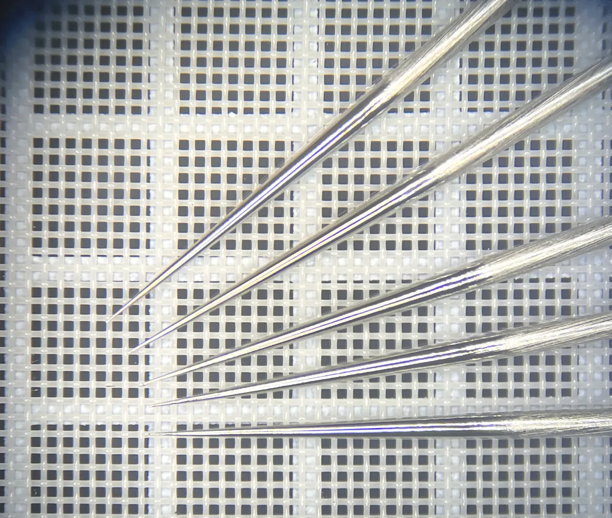 電解研磨による鏡面仕上げタングステン針