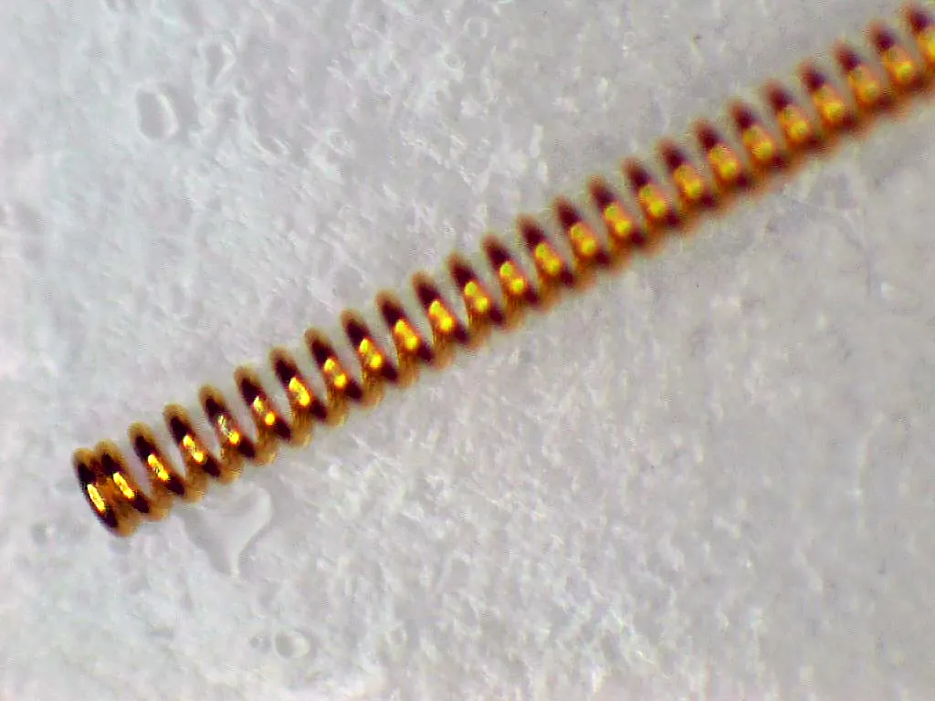 加工品事例スプリング